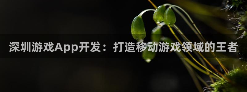 沐鸣2平台官方注册登录