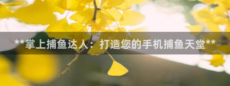 沐鸣2平台在线注册