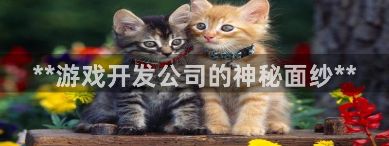 沐鸣娱乐2登入