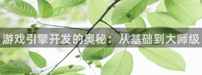 沐鸣2平台主管代理