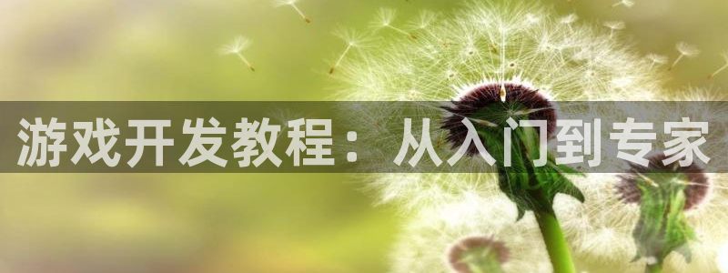 沐鸣娱乐2测速登陆