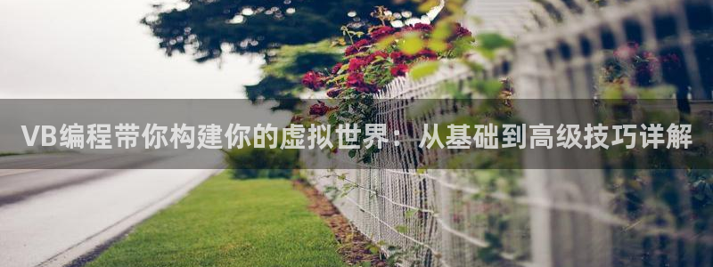 沐鸣2平台注册：VB编程带你构建你的虚拟世界：从基础到高级技巧详解