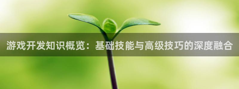 沐鸣2账号注册：游戏开发知识概览：基础技能与高级技巧的深度融合