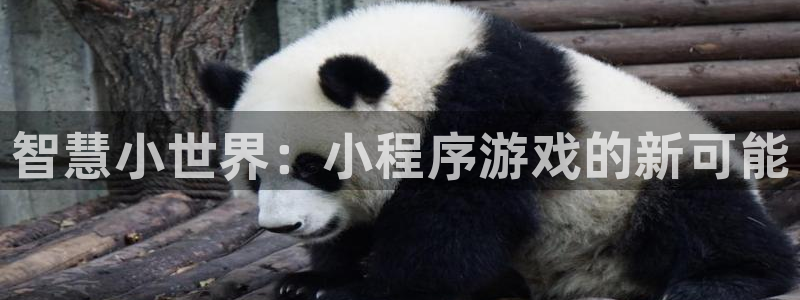 沐鸣2平台测速登录：智慧小世界：小程序游戏的新可能