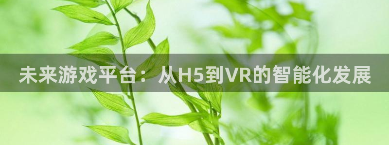 沐鸣2代理注册：未来游戏平台：从H5到VR的智能化发展