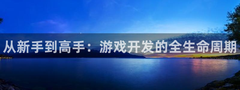 沐鸣娱乐2官方平台是什么：从新手到高手：游戏开发的全生命周期