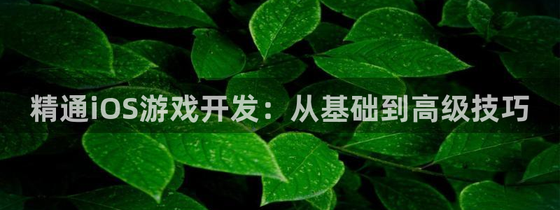 沐鸣2官网 5O6917：精通iOS游戏开发：从基础到高级技巧