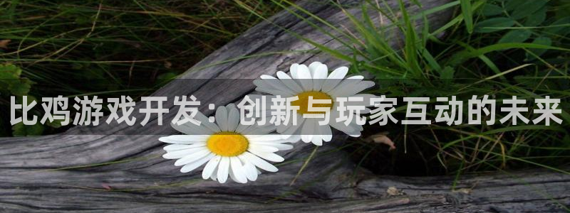 沐鸣2代理酋27337：比鸡游戏开发：创新与玩家互动的未来