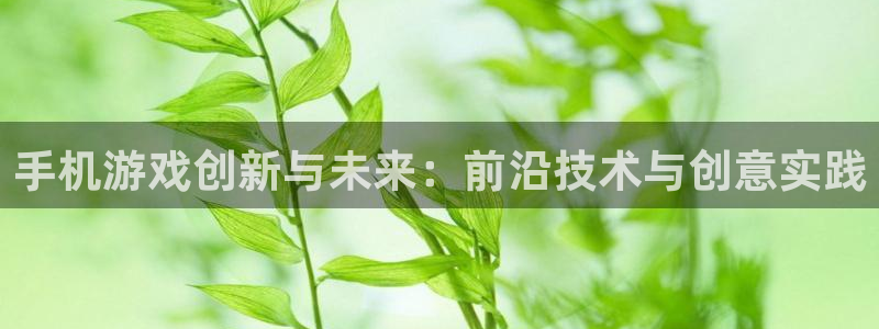沐鸣娱乐2平台：手机游戏创新与未来：前沿技术与创意实践