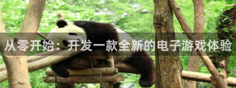 沐鸣娱乐2手机下载破解版：从零开始：开发一款全新的电子游戏体验