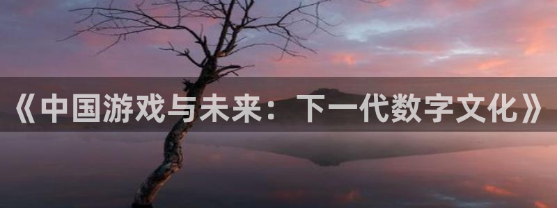 沐鸣娱乐2官网网址是什么：《中国游戏与未来：下一代数字文化》