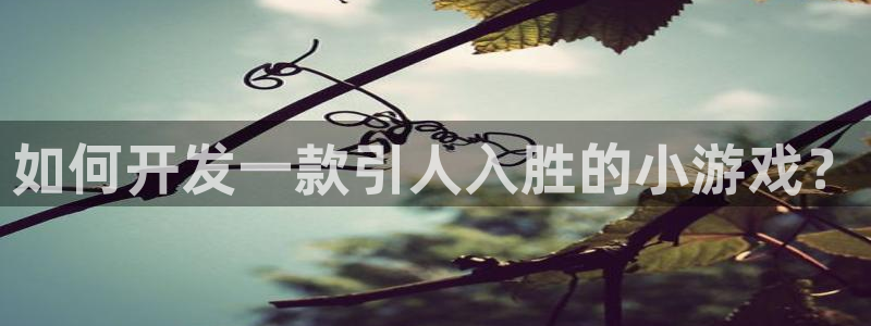 沐鸣娱乐平台2注册：如何开发一款引人入胜的小游戏？