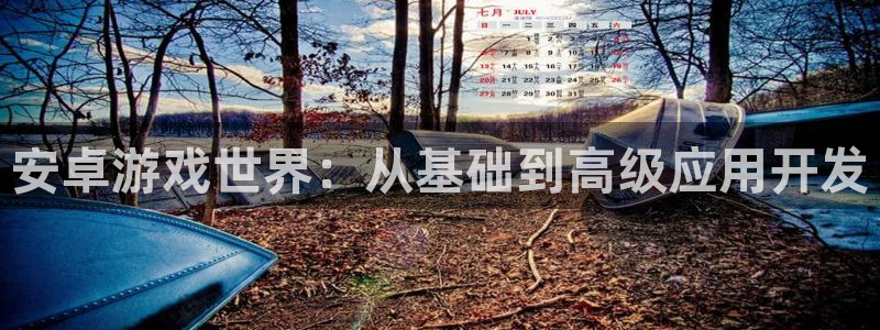 沐鸣2平台在线注册：安卓游戏世界：从基础到高级应用开发