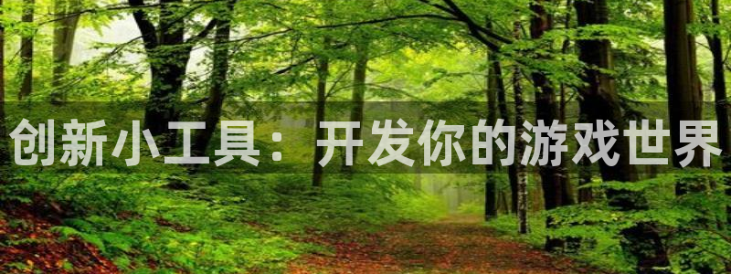 沐鸣2注册开户：创新小工具：开发你的游戏世界