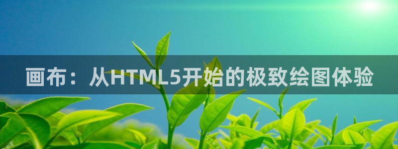 沐鸣2登录网址：画布：从HTML5开始的极致绘图体验