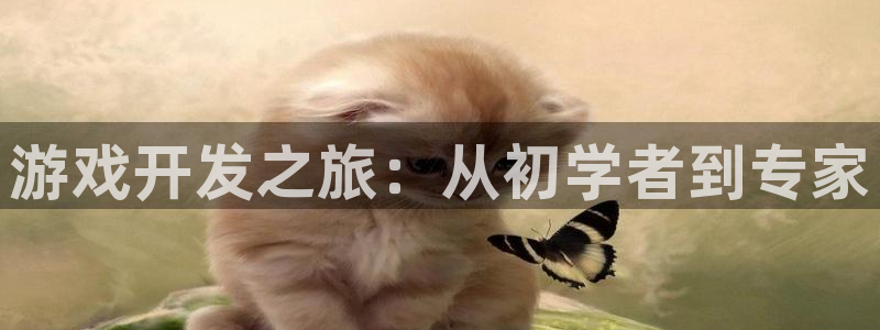 沐鸣2app官方
