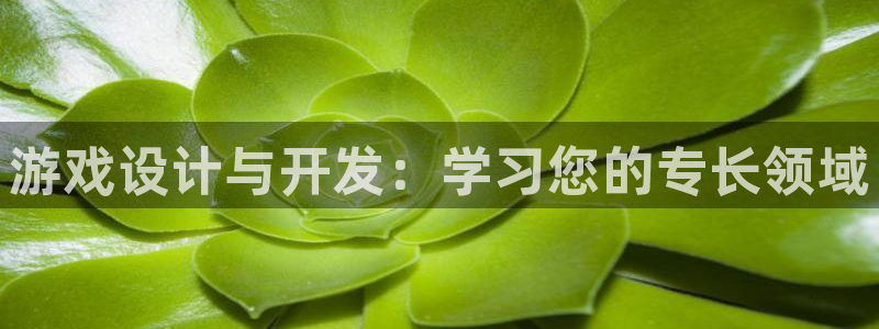 沐鸣娱乐2官网：游戏设计与开发：学习您的专长领域