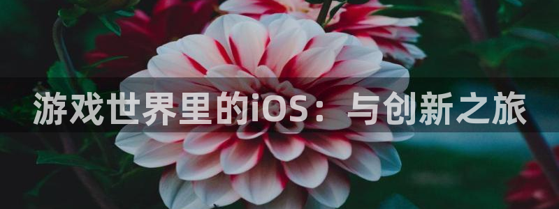 沐鸣娱乐2登录平台是什么软件：游戏世界里的iOS：与创新之旅