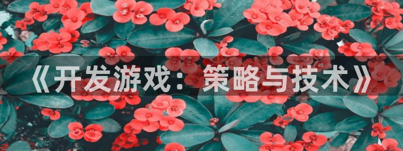 沐鸣娱乐2黑客户吗：《开发游戏：策略与技术》