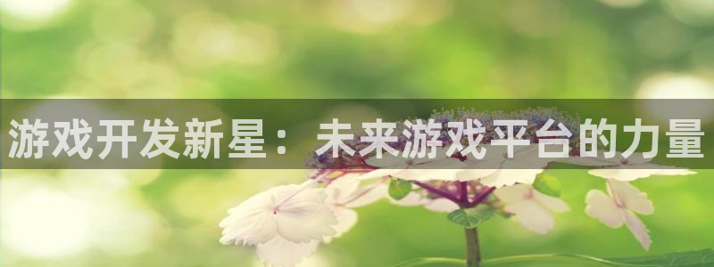 沐鸣娱乐2登录平台：游戏开发新星：未来游戏平台的力量