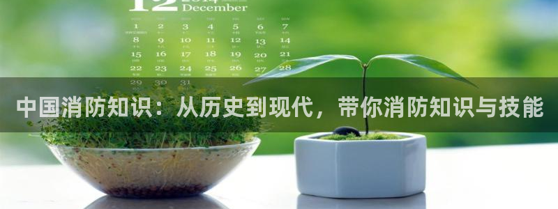 棉花糖小说网站